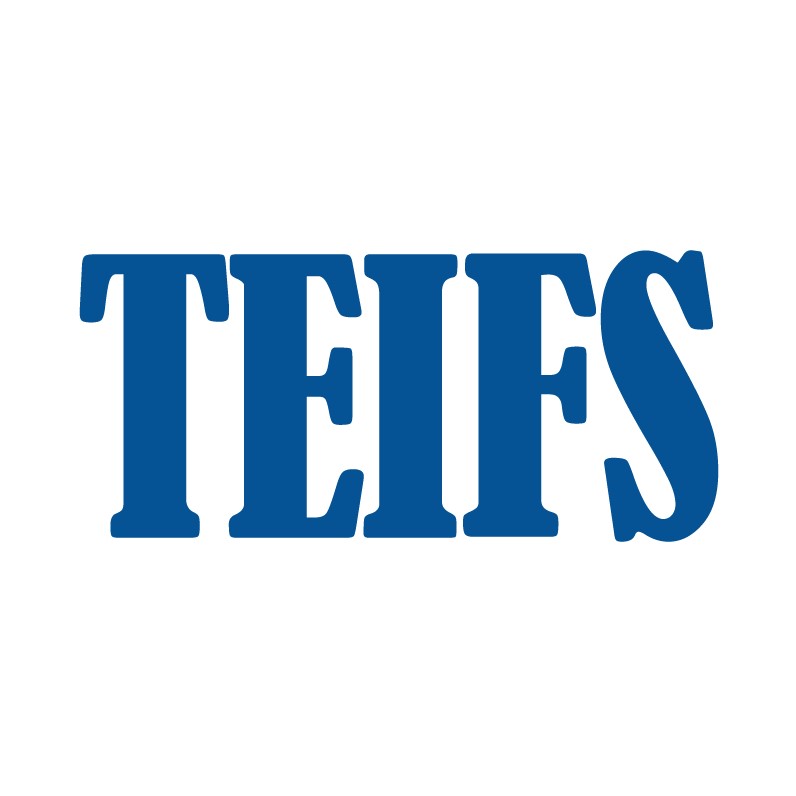 TEIFS Logo